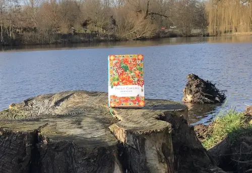 Meditatie